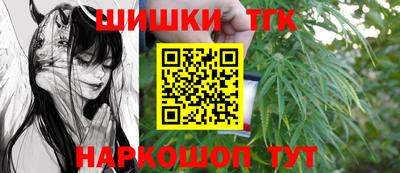 spice Гусиноозёрск