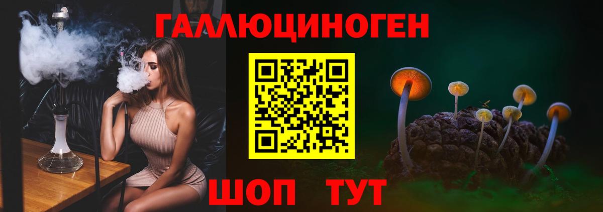 Псилоцибиновые грибы Psilocybe Красногорск